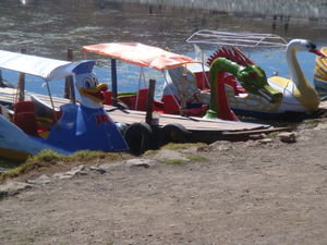 Crazy Swan Boats on the Lagoon beside the Lake