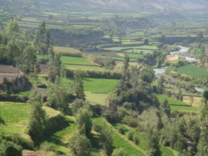 Agricultural Fields of Arequipa