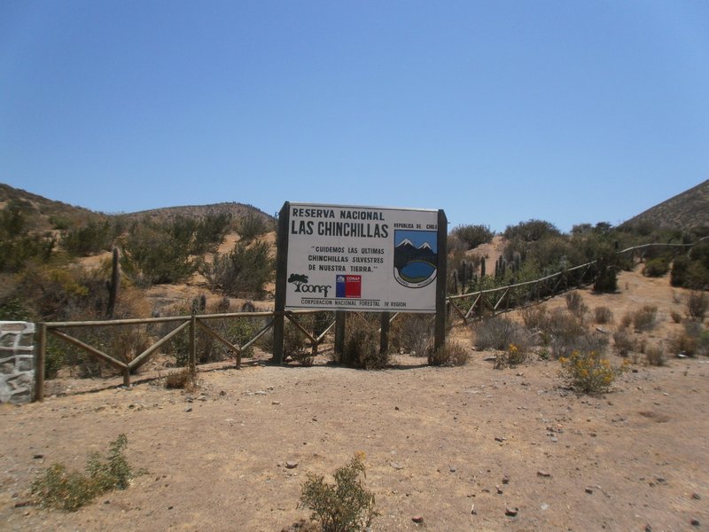 Chinchilla reserve