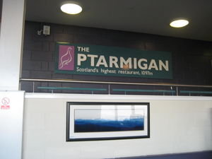 The Ptarmagin
