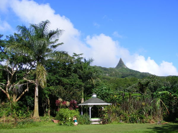 View from Olomana Fartens