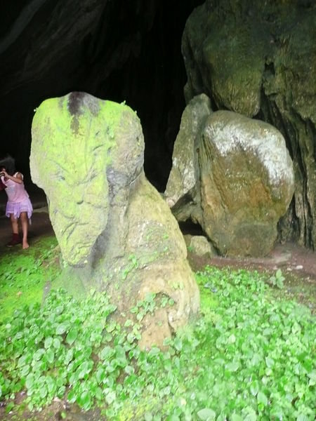 Lion cave