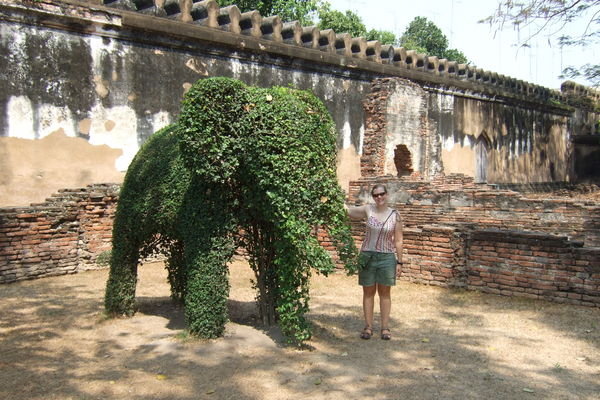 Bio elephant