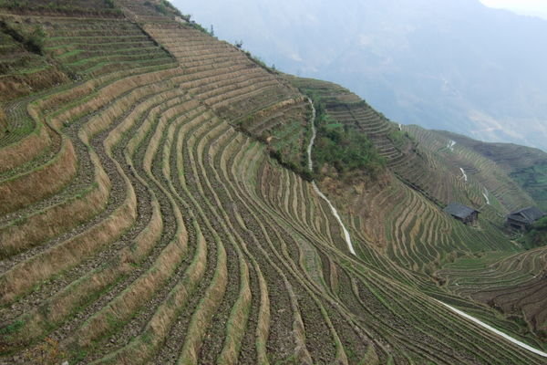 View of terraces and walkway