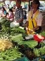 resh veg sellers