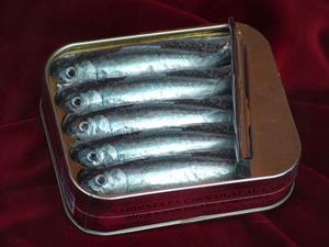 Chocolate Sardines????