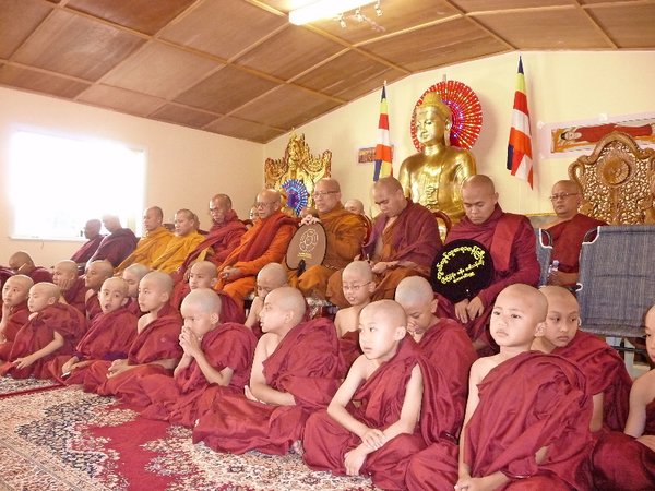 novices  monks