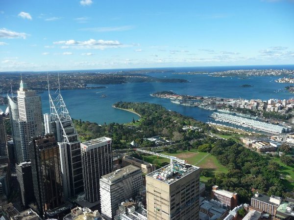 From Sydney tower