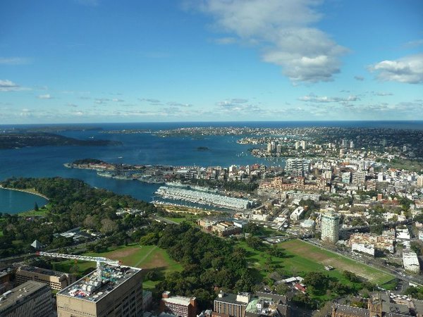 From Sydney tower