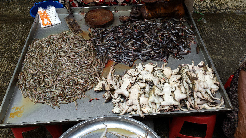 Yangon Market