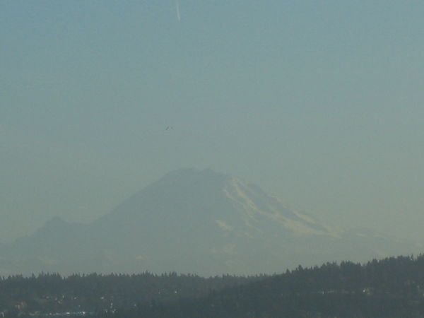 Zoomed Mt. Rainier