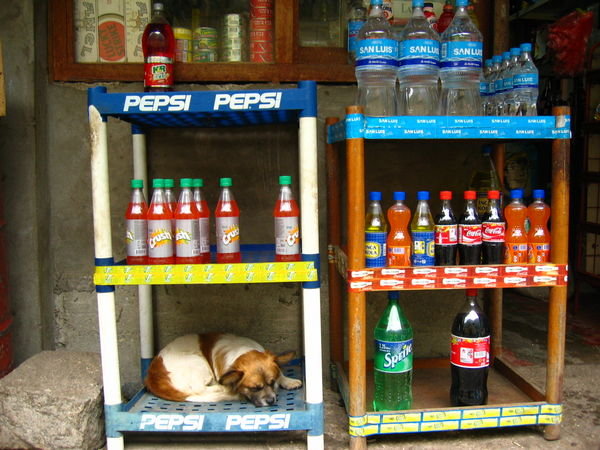 dogs and drinks for sale in aguas calientes