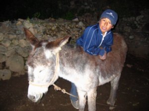 Diego and the family donkey, Clinton