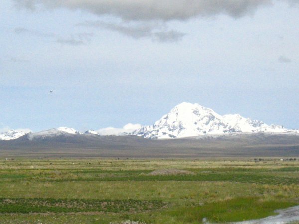 goliath peaks of the Cordillera Real tower above the altiplano