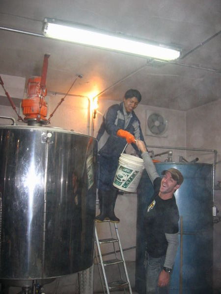 helping out in the saya brewery at the Adventure Brew Hostel