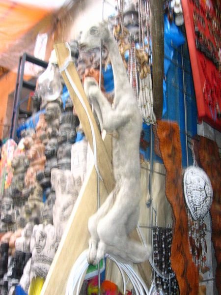 dried llama fetuses and other magic animals for sale in the witches market