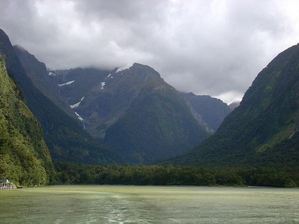 Overlooking Milford Sound