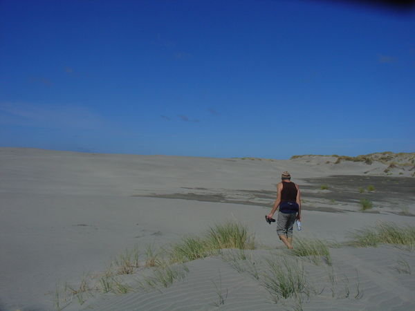 Dunes on the Farewell Spit