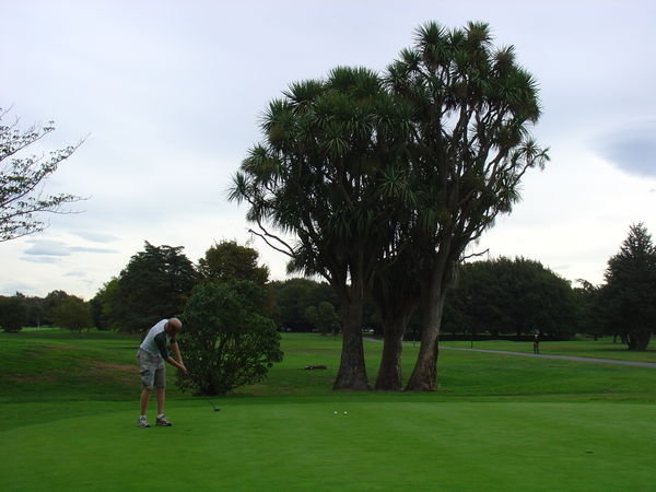 Hagley Golf Course