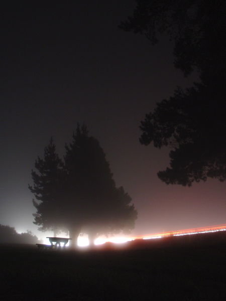 Playing with Fog by Night