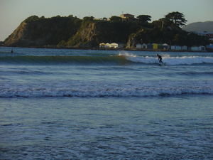 Titahi Bay Surfers