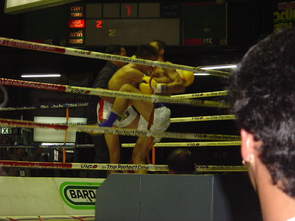 Boxers kneeing each other