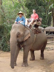 My elephant ride
