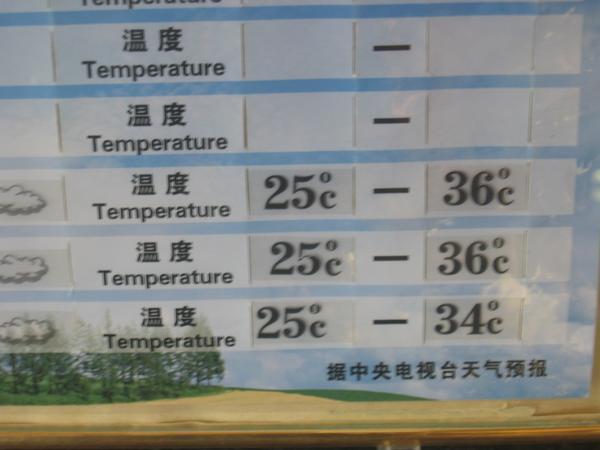 today's temp over 36