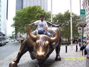 Bull in Downtown Manhattan