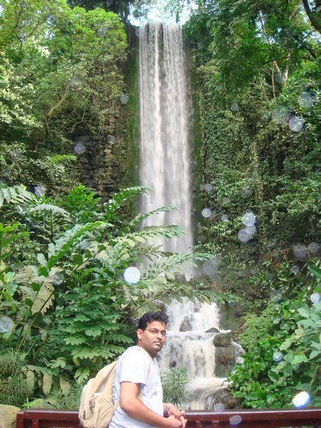 Artificial Waterfall @ Jurong Bird Park