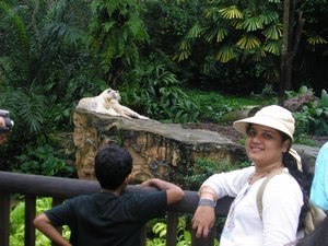 @ Singapore Zoo - White Tiger Enclosure