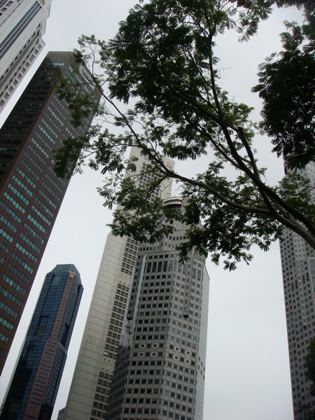 Highrises from Clark Quey