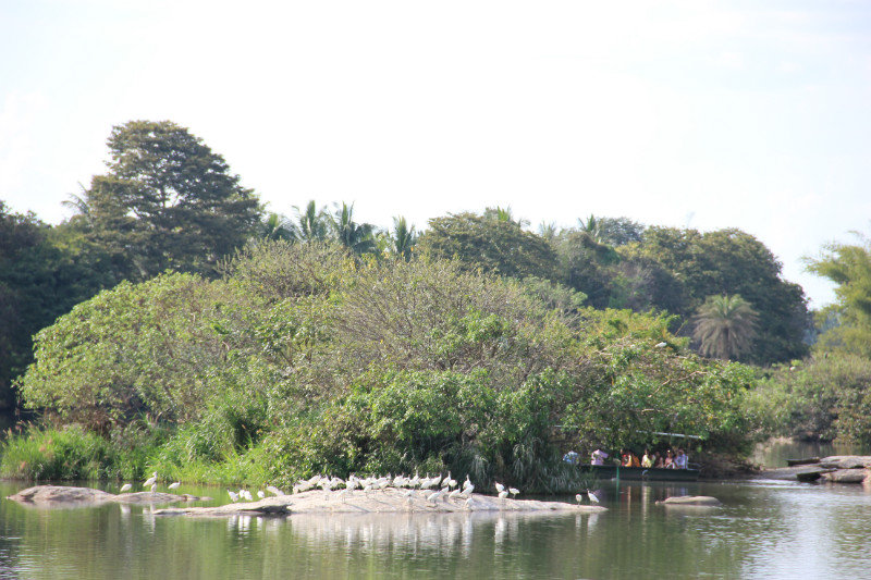 Islands in Bird Sanctuary Mysore
