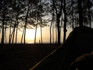 Sunrise from my hammock