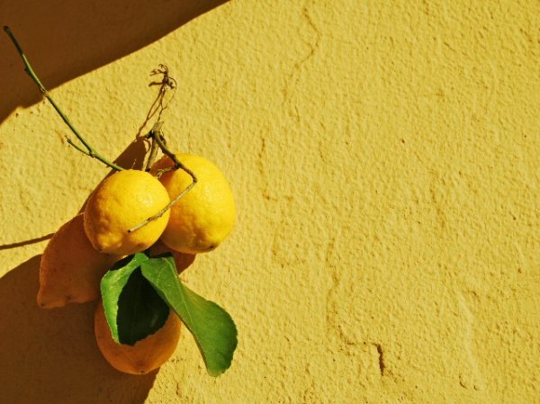 Lemons outside a door in Palermo