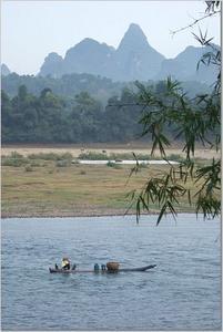 Commorant Fisher in the Li River