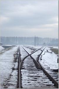 the death railway leading into Birkenau