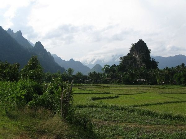 Laos Fields