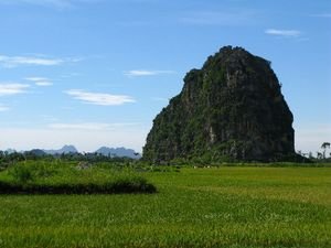Fields Near Ninh Binh