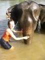 washing and elephant