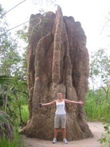 Montrous termite mound
