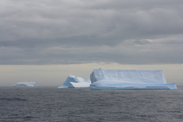 Antarctic Sound 