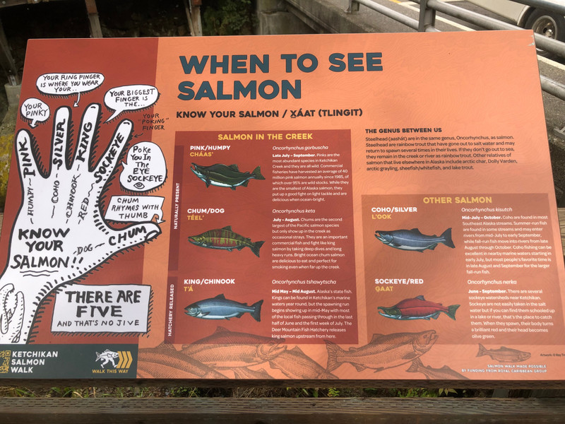 KNOW YOUR SALMON
