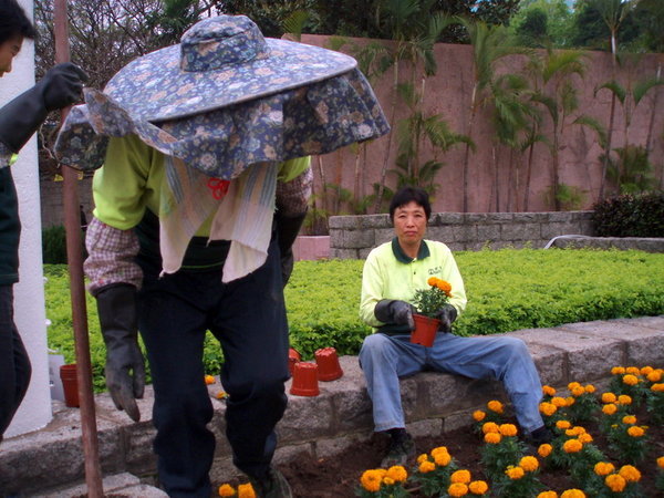 Gardeners in Kowloon Park