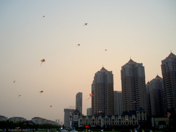 Kite Flying!