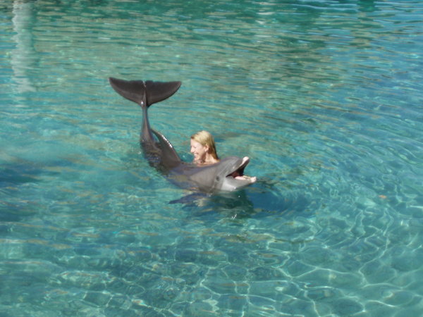 candid hd amazing dolphin encounter hd