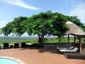 Nyala Resort 