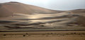Dune #7