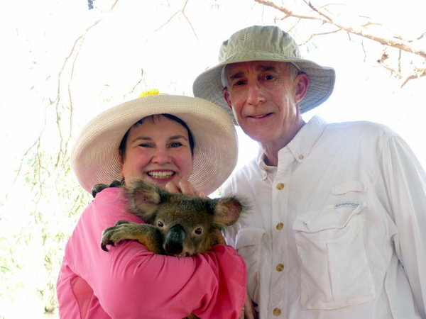 Ken and Shirley's Koala