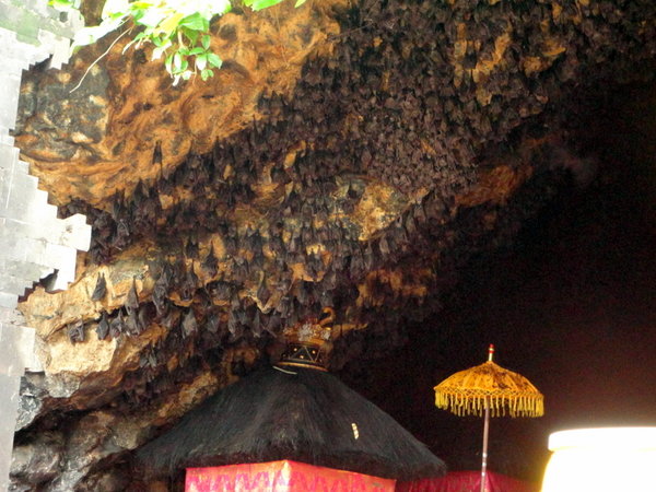 The Bat Cave at the Temple